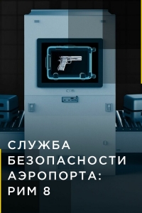 Служба безопасности аэропорта
