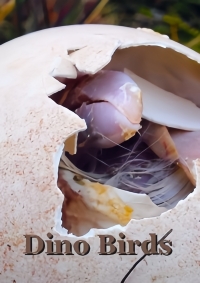 Восхождение птиц